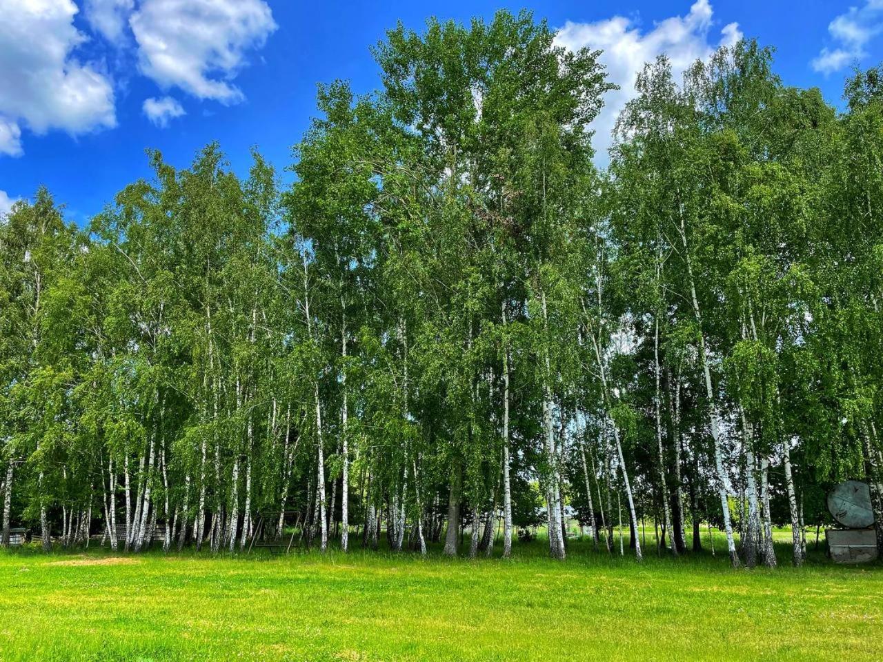 Садиба Бабина Лоза Lisove  Exterior foto
